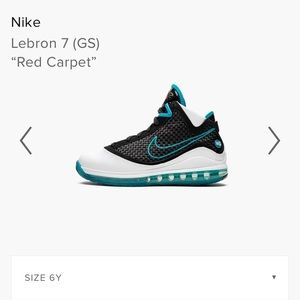 Nike LeBron 7 GS